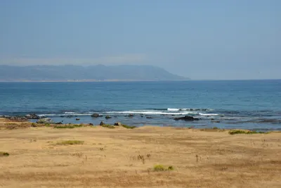 DSC_2499 (Large).JPG